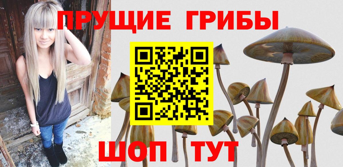 Галлюциногенные грибы Magic Shrooms Семилуки