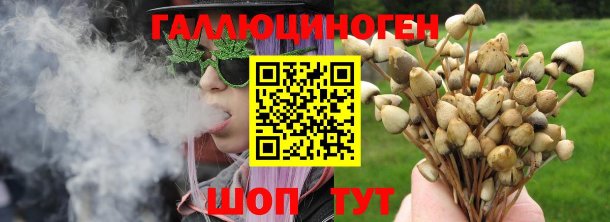 Семилуки  Галлюциногенные грибы GOLDEN TEACHER  Галлюциногенные грибы Psilocybe  Вход с VPN 